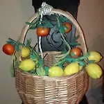 Bed and breakfast Casa Adelaide